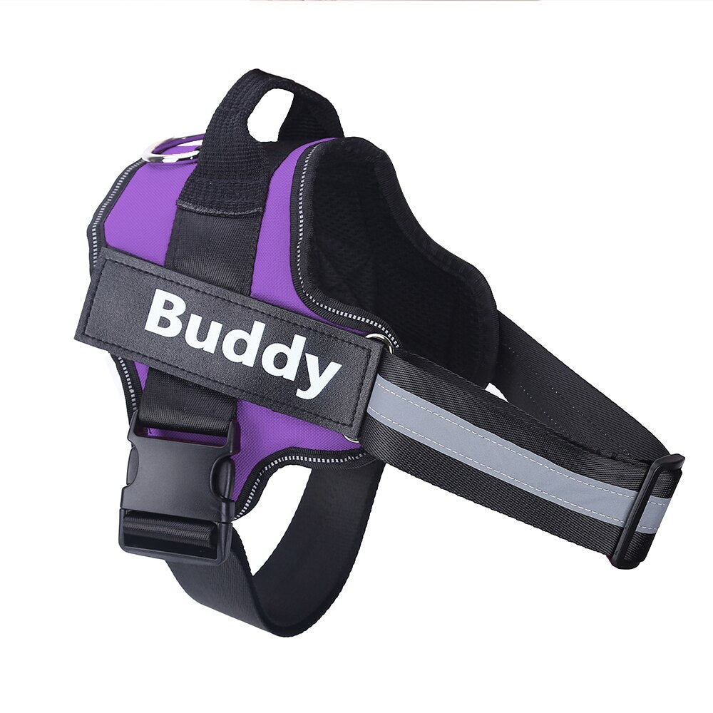 Personalized No Pull Dog Harness 1