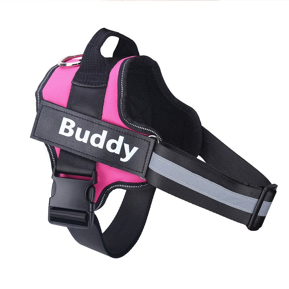 Personalized No Pull Dog Harness 1